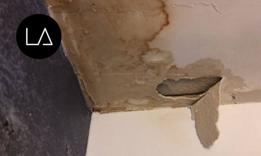 What Is the Easiest Way to Find an Underground Water Leak? | LA Restoration Rentals