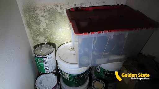 Mold Inspection, Mold Remediation, Indoor Air Quality